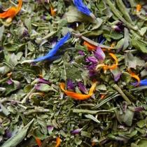 image duo sariette origan